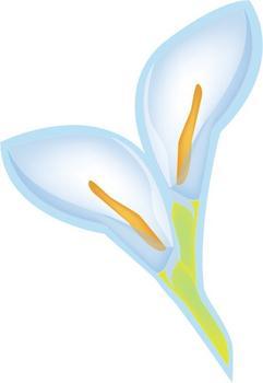 <a href='/product/product-0001,0002.shtml' class='keys' title='點(diǎn)擊查看關(guān)于不干膠印刷機(jī)的相關(guān)信息' target='_blank'>不干膠印刷機(jī)</a>